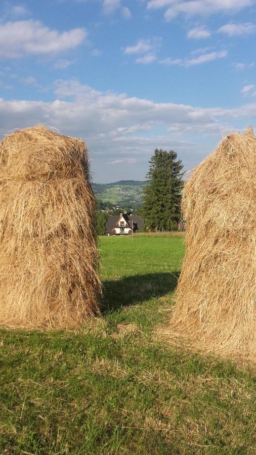 Willa Goralskie Klimaty Bukowina Tatrzańska Dış mekan fotoğraf