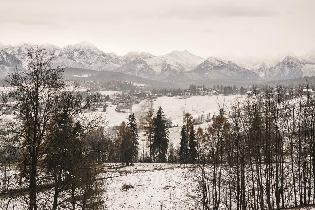 Willa Goralskie Klimaty Bukowina Tatrzańska Dış mekan fotoğraf