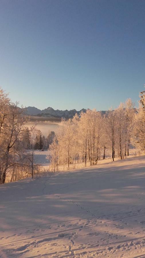 Willa Goralskie Klimaty Bukowina Tatrzańska Dış mekan fotoğraf